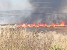 Локализираха пожара край Харманли