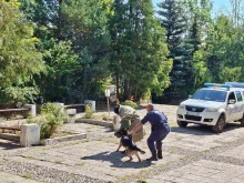 Полицейското куче Ирко на гости в Лятната детска академия в Кюстендил