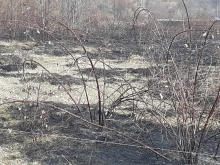 Пожар изпепели 110 декара край село Цървище