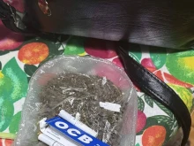 Семейство от Горна Оряховица отглеждало коноп в зеленчукова оранжерия
