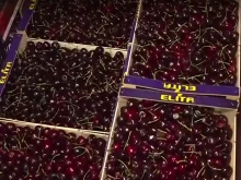 БАБХ погна търговците по борсите: Проверяват се над 100 вида остатъчни вещества и произхода на стоката