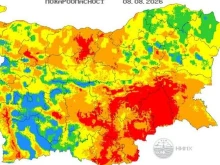 ГД "Пожарна безопасност и защита на населението" предупреди за опасност от пожари заради горещото време