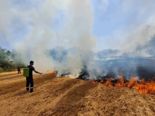 127 пожара в сухи треви са ликвидирали огнеборците от Великотърновска област само за последните 2 месеца