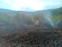 Ликвидиран е пожарът в село Висока могила