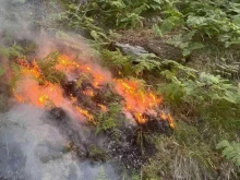 Пожар гори край Благоевград