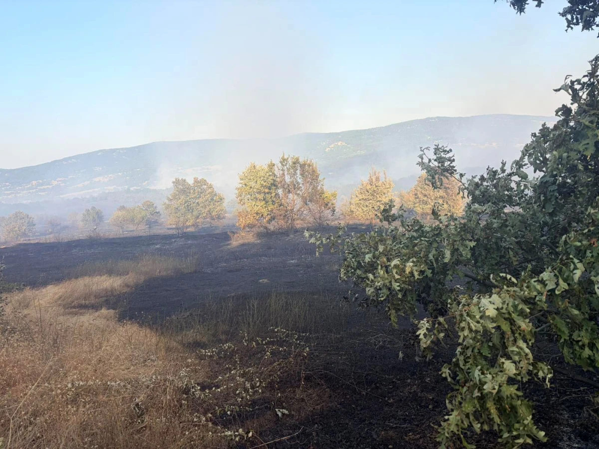 Пожарът край Българска поляна е овладян, изпепелени са обаче около 1000 декара гора