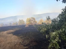 Пожарът край Българска поляна е овладян, изпепелени са обаче около 1000 декара гора