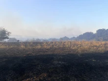 Пожарът в Хасковско е локализиран: Едно огнище все още гори