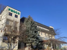 РИОСВ в акция: Над 2100 проверки и глоби за повече от 364 хил. евро