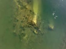 Останки от легендарния Константинов мост се показаха от водите на Дунав