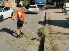 Общинските екипи продължават дейностите по косене на тревните площи в Русе