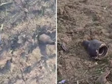Експлозия и пожар след падането на предполагаема руска ракета в Молдова