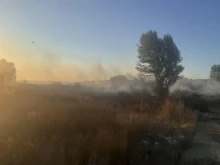 "Затворете прозорците!": Пожарът край сръбската граница се усеща и в София