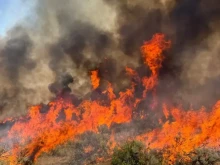 ГДПБЗН: Няма действащи пожари до границата ни, задимяването идва от Сърбия и Албания