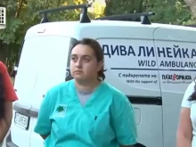 Д-р Джамалова за мъртвите лешояди: Отровата е била доста сериозна. 10 души правихме аутопсията и се редувахме да излизаме, защото ни ставаше лошо