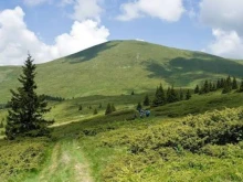 Двама души загинаха в Стара планина