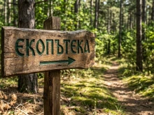 Горските със засилени проверки в туристическите зони заради пожари, от началото на лятото проверките са над 1200