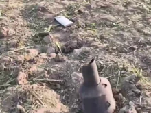 Руска ракета-дрон "Бандерол" падна в Беларус