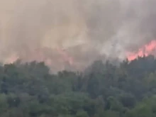 Пожарът, обхванал три села в община Симеоновград, е локализиран