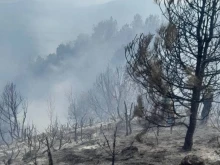 Голям пожар между селата Скребатно и Балдево