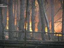 В околностите на Киев избухна мащабен горски пожар