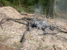 Деца подпалиха огън в Борисовата градина, подадени са три сигнала до 112