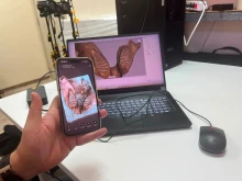 Извършиха 3D сканиране на долната челюст на косматия мамут, открит при Дунав край Ряхово