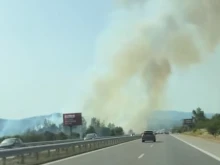 Пожар пламна на АМ "Тракия"