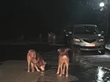 ������� � "����������": ���������� �������� ������ �� ����������