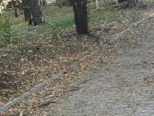 Кметът на столичния район "Изгрев": Дефицитите в почистването все още са много