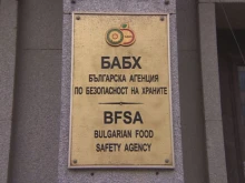 БАБХ спря нови 16,3 тона грозде от Турция с наднормени остатъци от пестициди
