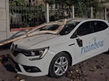 Изсъхнало дърво падна върху автомобил в Русе