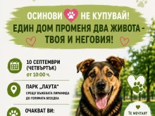 Кметът на район "Тракия" кани пловдивчани на инициативата "Моят верен приятел"