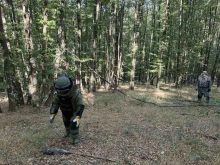 Приключи прочистването на района около завод "ЕМКО" от невзривени боеприпаси