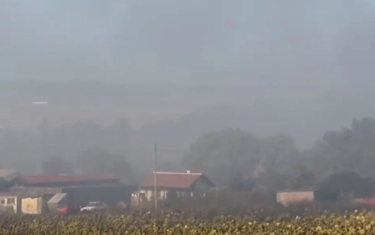 Голям пожар избухна край Бургас