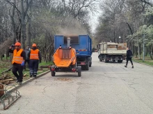 Парк "Лаута" на прага на голяма промяна