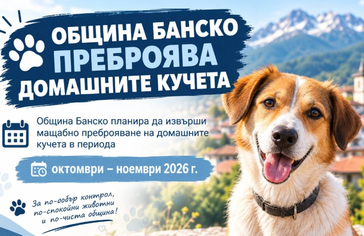 Община Банско ще проверява регистрацията на домашните кучета. При нарушения – санкциите стигат до над 255 евро