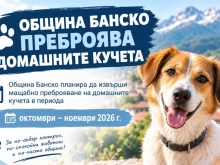 Община Банско ще проверява регистрацията на домашните кучета. При нарушения – санкциите стигат до над 255 евро