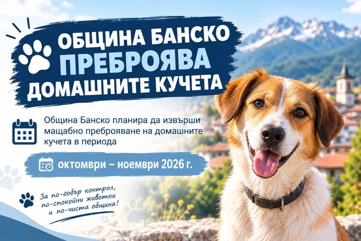 Броят домашните кучета в Банско