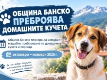 Броят домашните кучета в Банско