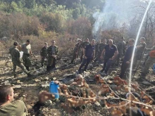 Пожарът край Беляковец е локализиран, изгорели са над 130 дка сухи треви и част от гора