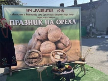 Празник на ореха събира за девети път жители и гости на старозагорското село Оряховица