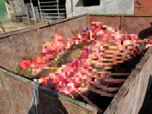 Разкриха незаконна кланица в Симеоновград, установени са близо 500 кг трупно месо