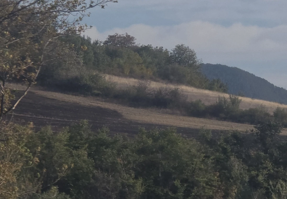 Потушен е пожарът край Благоевград