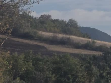 Потушен е пожарът край Благоевград