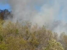 Пожар гори край Неделино, огънят е локализиран
