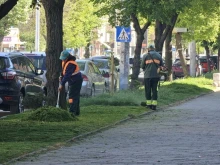 Ще пръскат срещу кърлежи в Банско