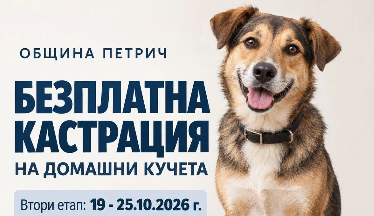 Стартира кампания за безплатна кастрация на домашни кучета в Петрич