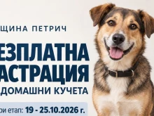 Стартира кампания за безплатна кастрация на домашни кучета в Петрич
