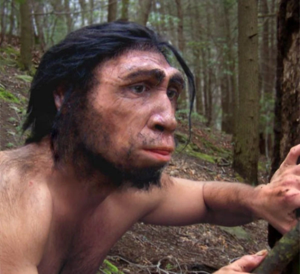 Нова находка показва, че Homo erectus е обитавал Африка по-рано от смятаното